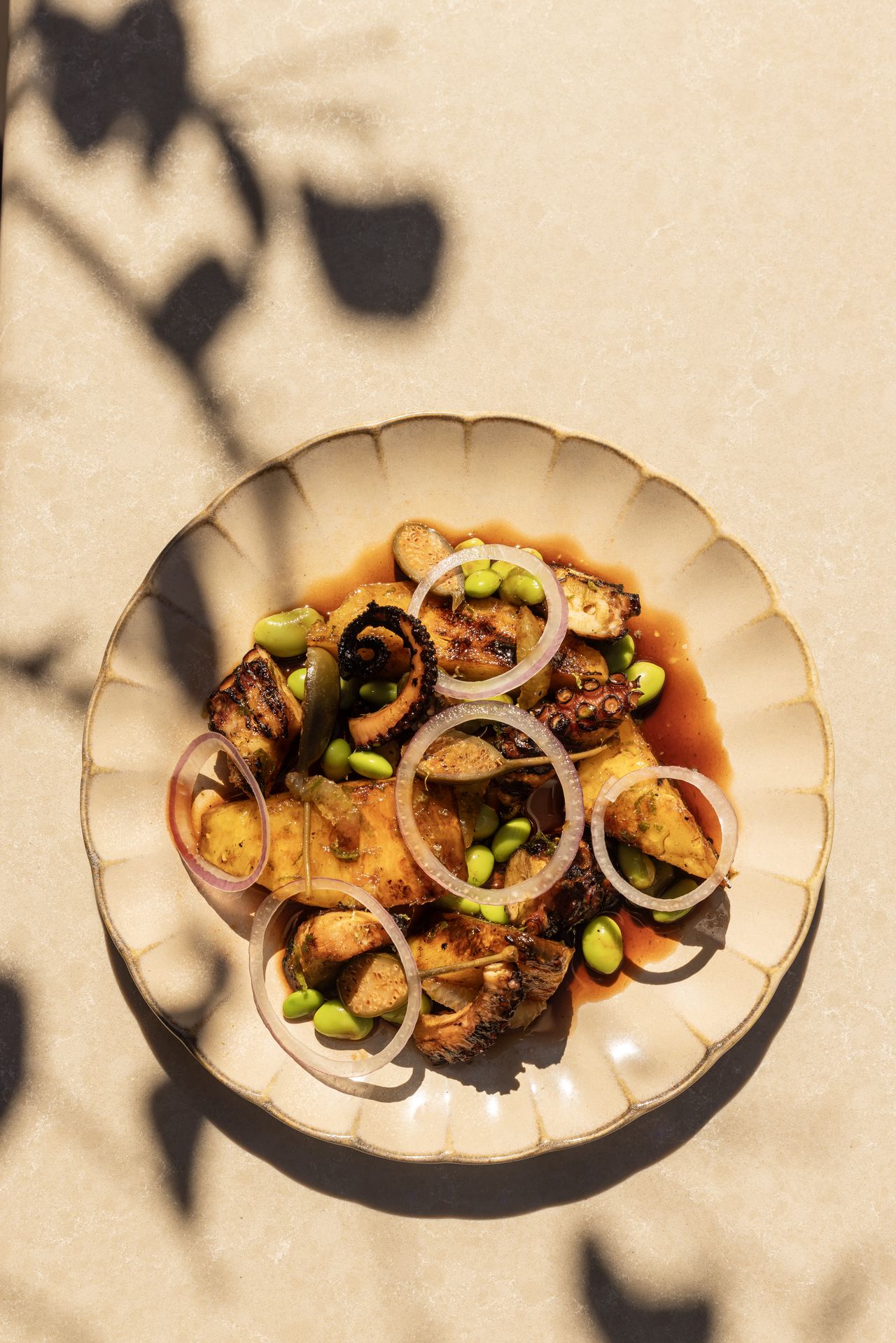 Ahtapot Salatası